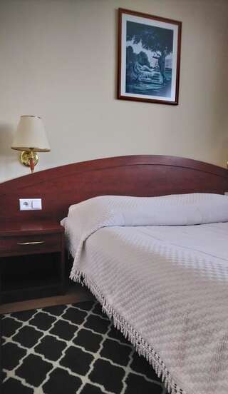 Отель E.T. Hotel Калиш Улучшенный двухместный номер с 1 кроватью или 2 отдельными кроватями-1